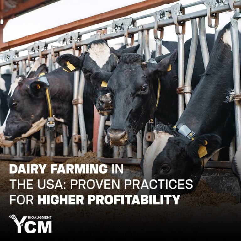 Dairy Farming