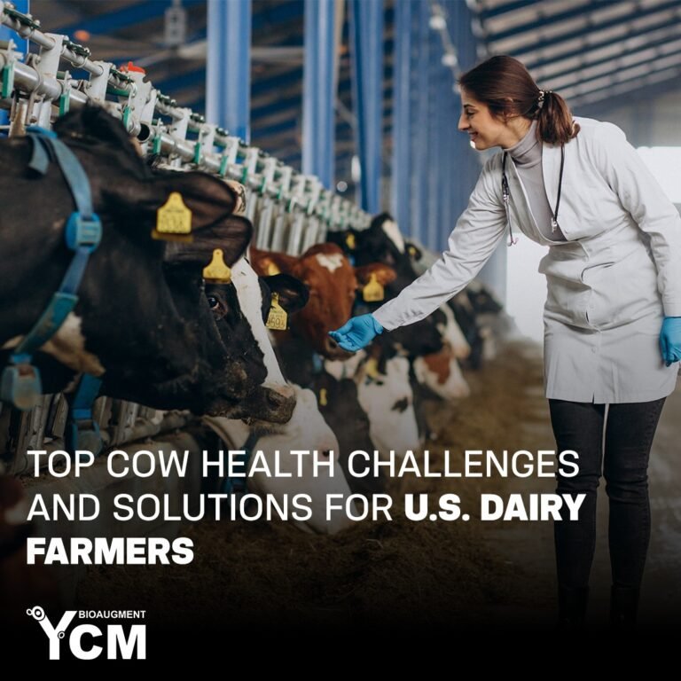 Top Cow Health Challenges and Solutions for U.S. Dairy Farmers