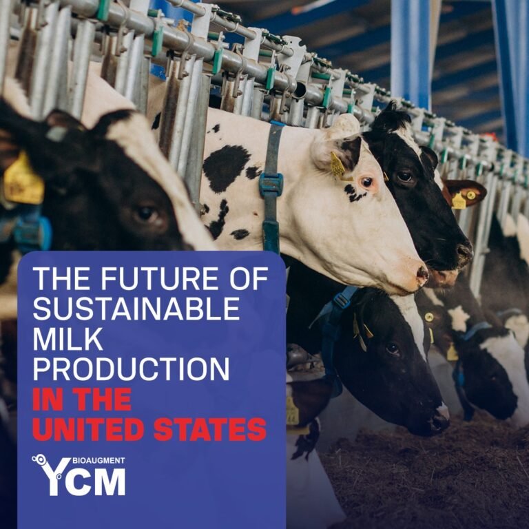 The Future of Sustainable Milk Production in the United States