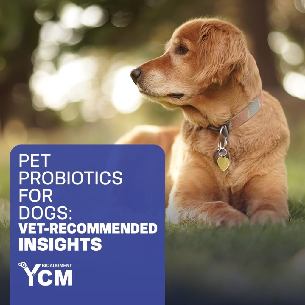 pet feed