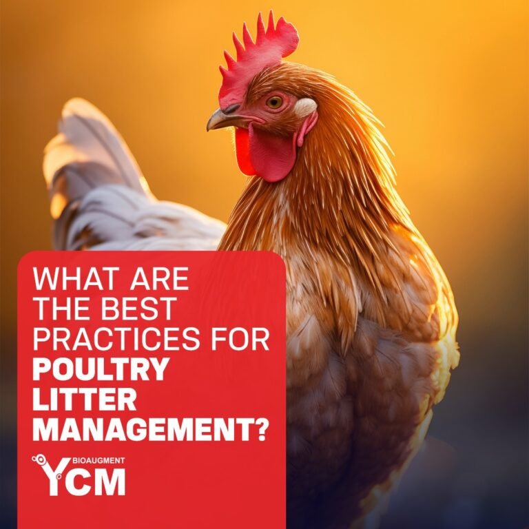 Poultry Litter Management
