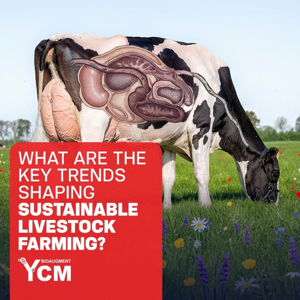 sustainable livestock farming