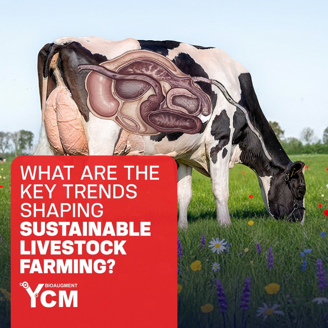 sustainable livestock farming