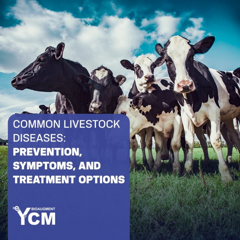 Common Livestock Diseases: Prevention, Symptoms, and Treatment Options