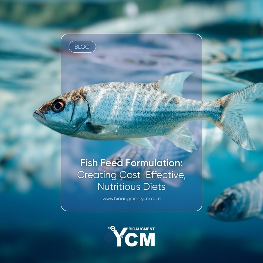 fish feed formulation
